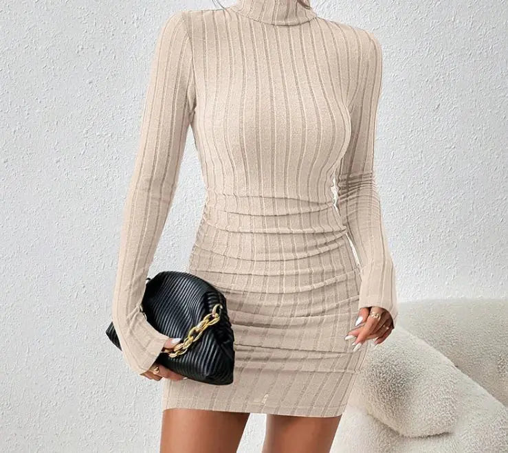 Beloure Turtleneck Slim Fit Knitted Dress